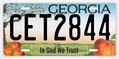 GA license plate CET2844
