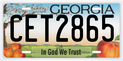 GA license plate CET2865