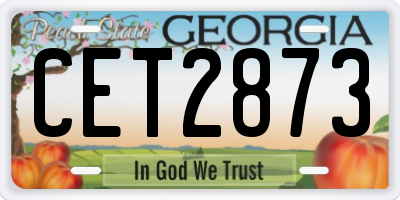 GA license plate CET2873