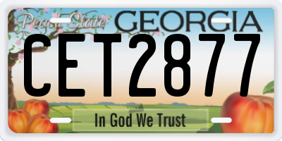 GA license plate CET2877