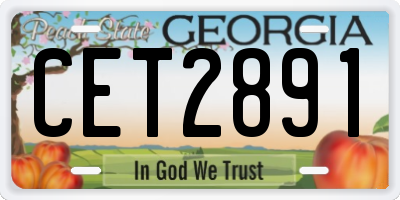 GA license plate CET2891