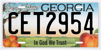 GA license plate CET2954