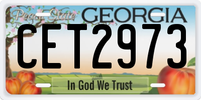 GA license plate CET2973