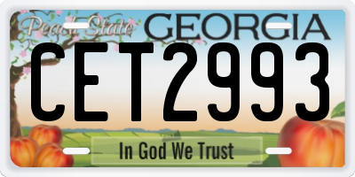 GA license plate CET2993