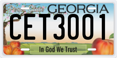 GA license plate CET3001