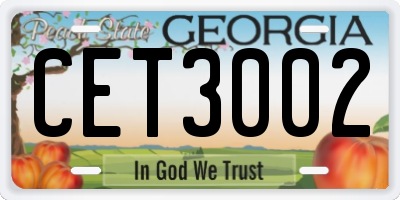 GA license plate CET3002