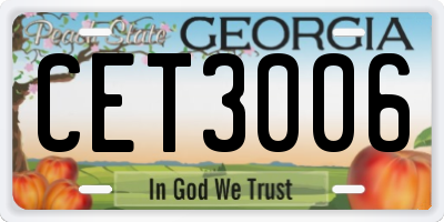 GA license plate CET3006