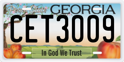 GA license plate CET3009