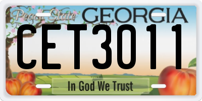 GA license plate CET3011
