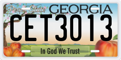 GA license plate CET3013