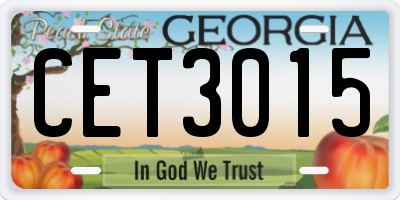 GA license plate CET3015
