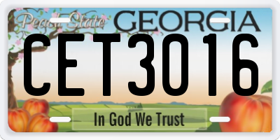 GA license plate CET3016