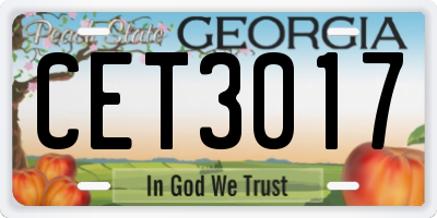 GA license plate CET3017