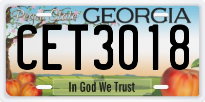 GA license plate CET3018