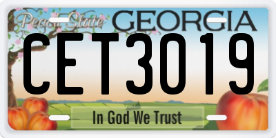 GA license plate CET3019