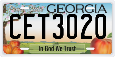 GA license plate CET3020