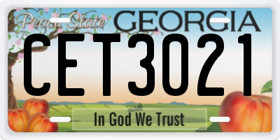 GA license plate CET3021