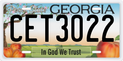 GA license plate CET3022