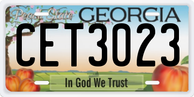 GA license plate CET3023