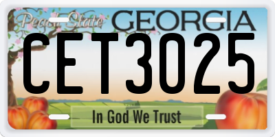 GA license plate CET3025