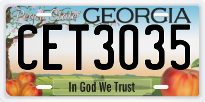 GA license plate CET3035