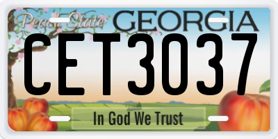 GA license plate CET3037