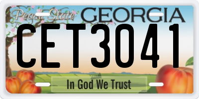 GA license plate CET3041