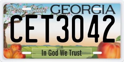 GA license plate CET3042