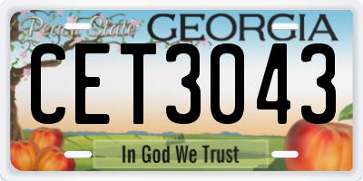 GA license plate CET3043