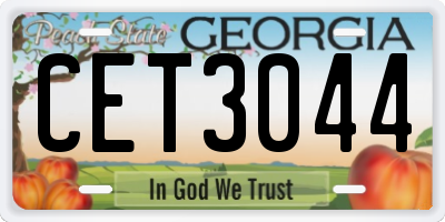GA license plate CET3044