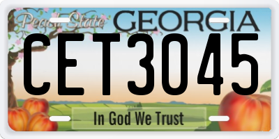GA license plate CET3045