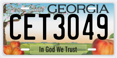 GA license plate CET3049