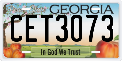 GA license plate CET3073