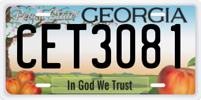 GA license plate CET3081