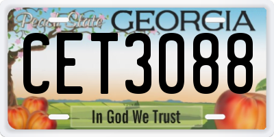 GA license plate CET3088