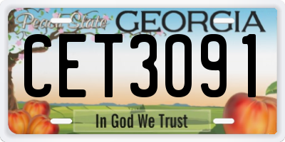GA license plate CET3091