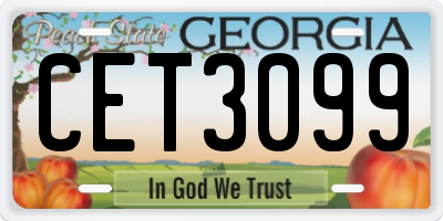 GA license plate CET3099
