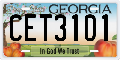 GA license plate CET3101