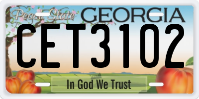 GA license plate CET3102