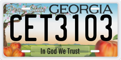 GA license plate CET3103