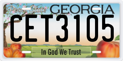 GA license plate CET3105