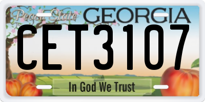 GA license plate CET3107
