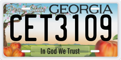 GA license plate CET3109