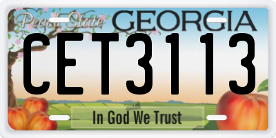 GA license plate CET3113