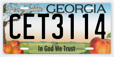GA license plate CET3114