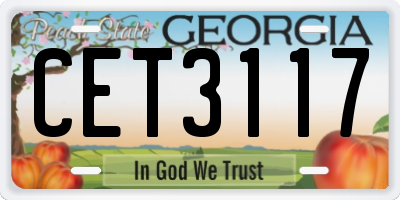 GA license plate CET3117
