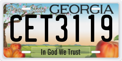 GA license plate CET3119