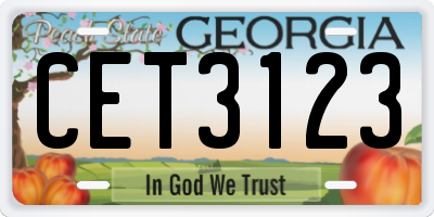GA license plate CET3123