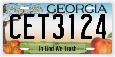 GA license plate CET3124