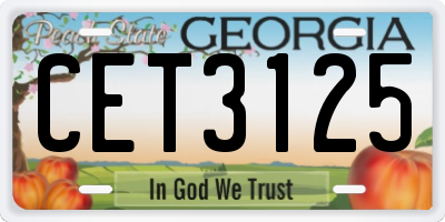 GA license plate CET3125